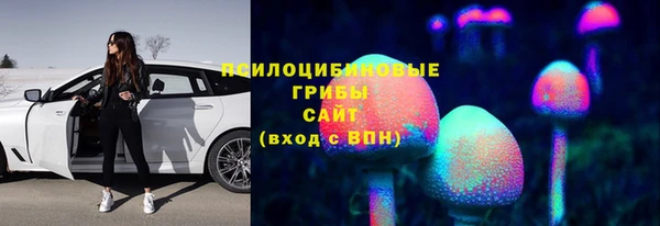 альфа пвп Заводоуковск