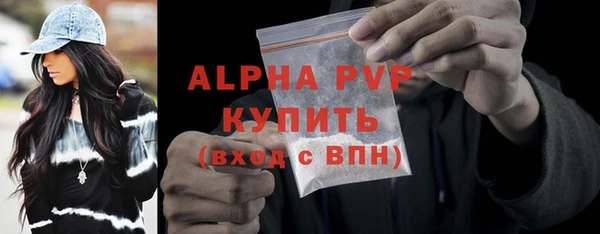 амф Заволжье