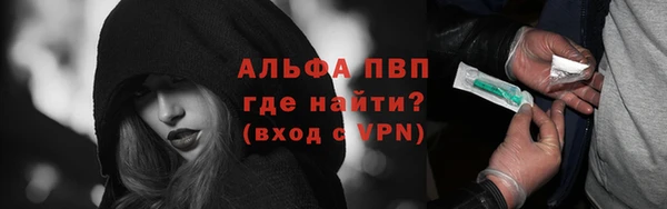 шишки Елизово