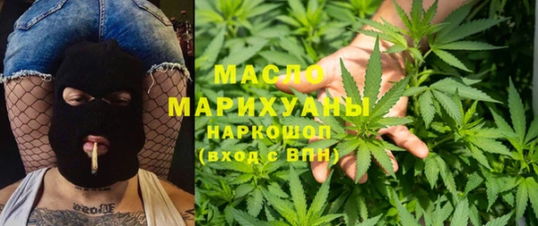 шишки Елизово