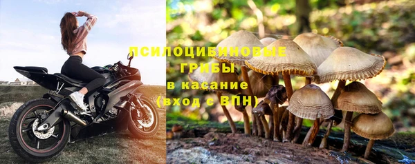 альфа пвп Заводоуковск