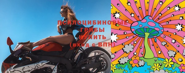 амф Заволжье
