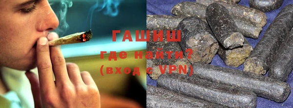 соль ск Ельня