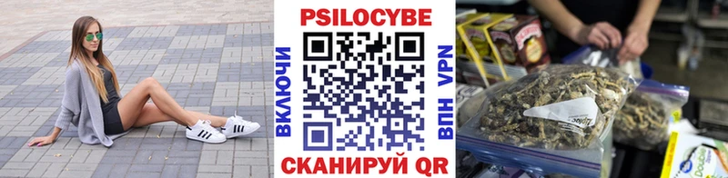 Купить закладки  Павловский Посад  Галлюциногенные грибы прущие грибы 